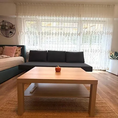 Apartment Mit Garten